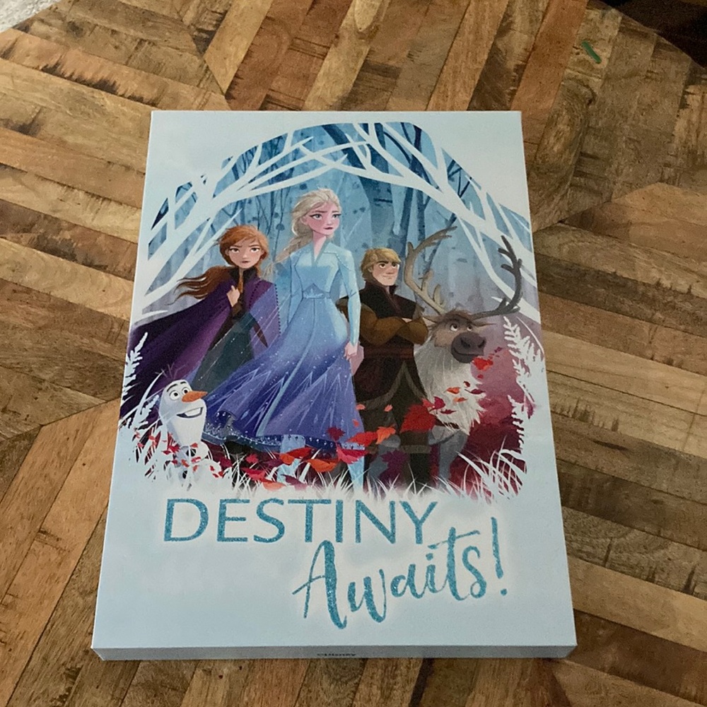 FROZEN canvas wall hanging